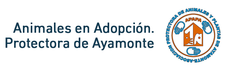 Asociación Protectora de Animales y Plantas de Ayamonte A.P.A.P.A.
