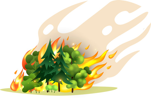 PREVENCIÓN DE INCENDIOS FORESTALES